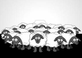 Cartoon illustration of the flock of sheep Stock Photo - 10669914